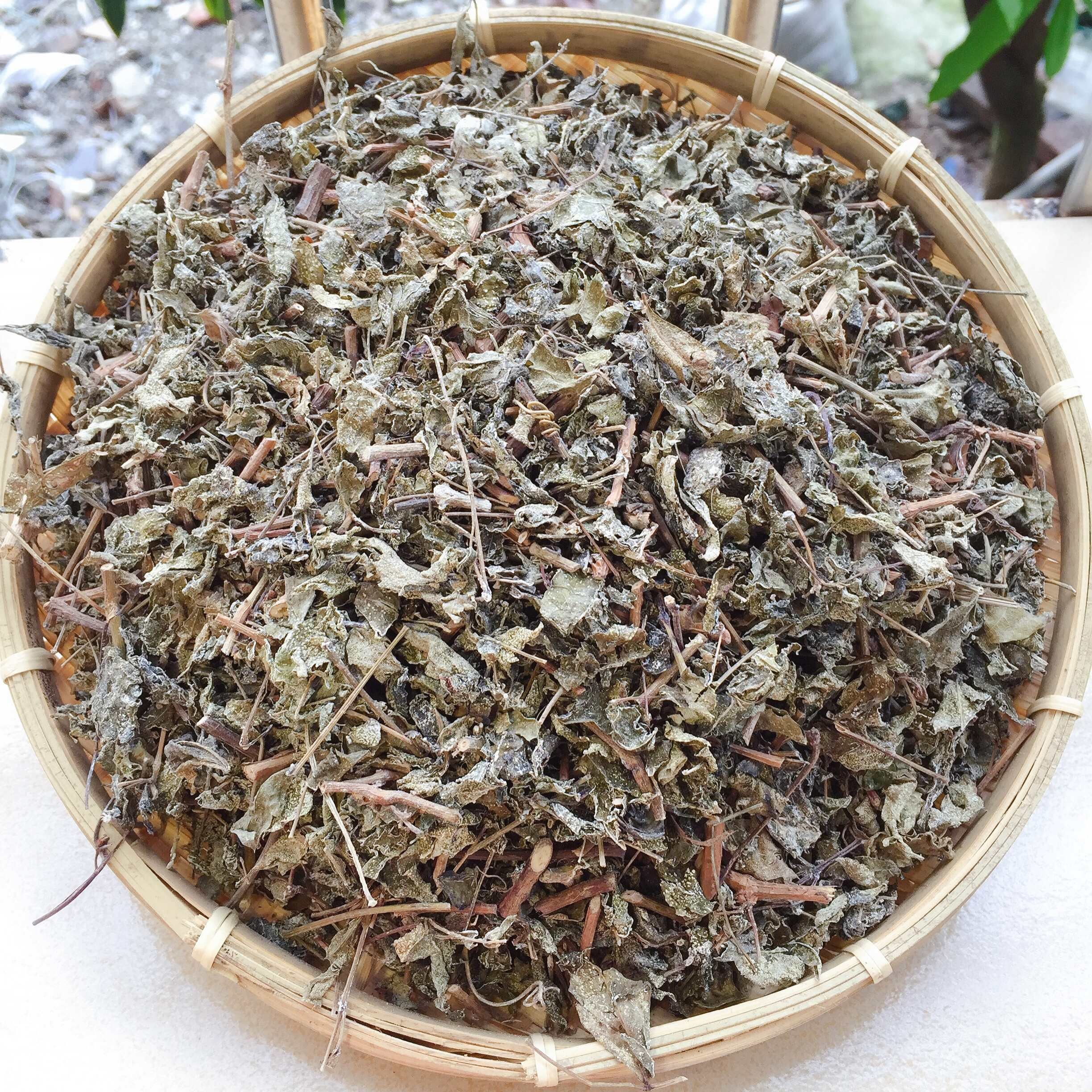 野生【溪黄茶】莓茶白茶 藤茶广西新货叶菜类500克-1000克泡水喝