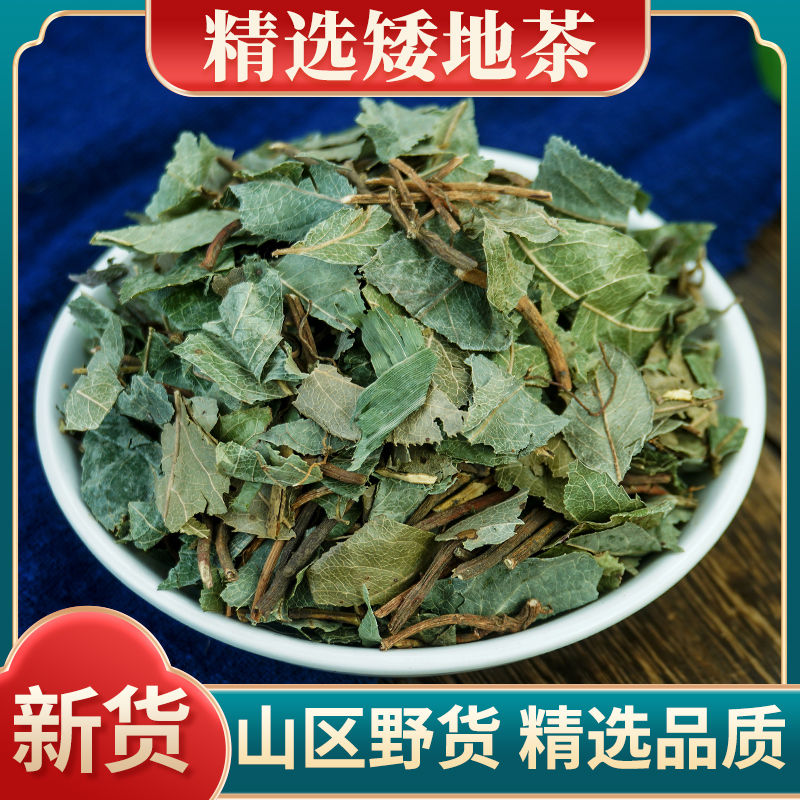 野生矮地茶 不出林 新货叶底珠 叶下红少年红 紫金牛叶菜500g