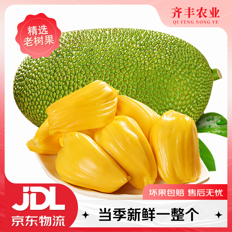 越南黄金菠萝蜜 整个发货当季新鲜水果干苞脆甜