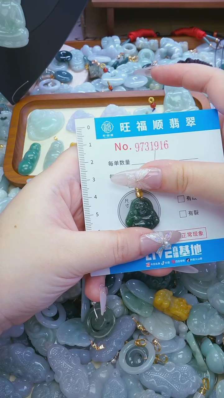 【闪购商品】翡翠颈饰未镶嵌吊坠配绳
