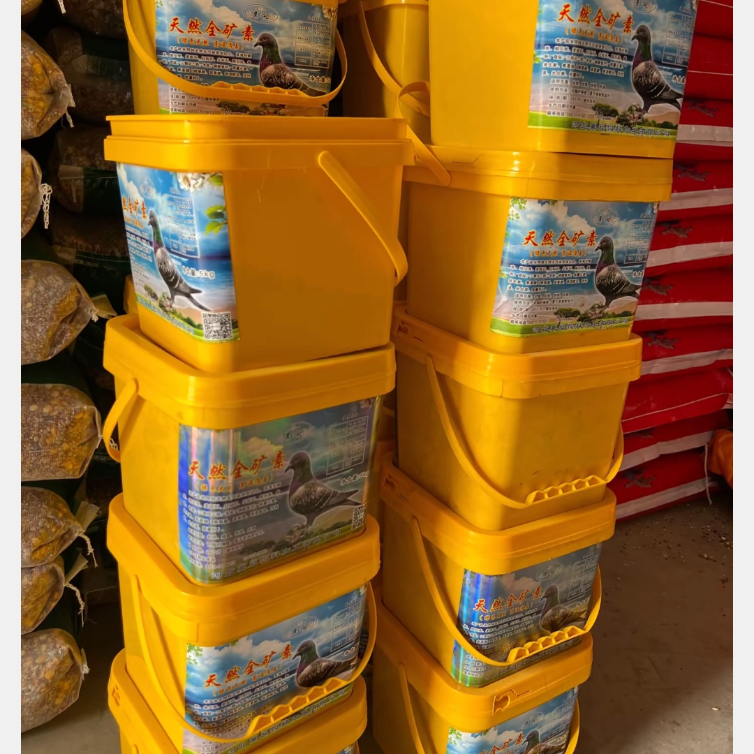 鸽子保健砂天然全矿素