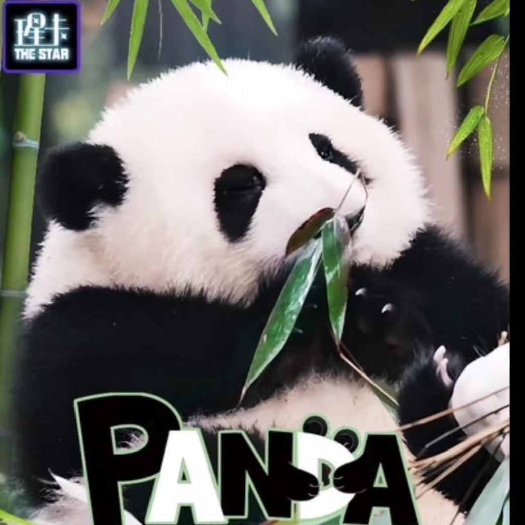 Panda 熊猫 瑆卡工作室 收藏卡牌（盲盒产品 默认代拆）