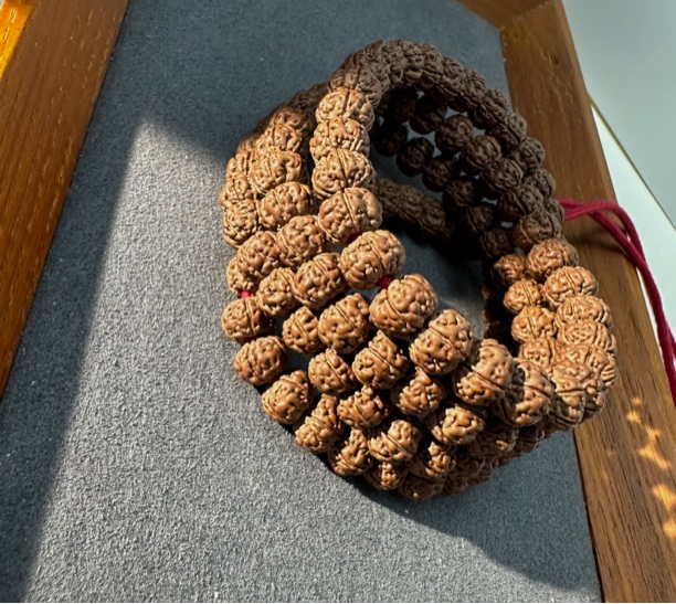 小金刚老树王108褐色原皮原色高品质老树籽