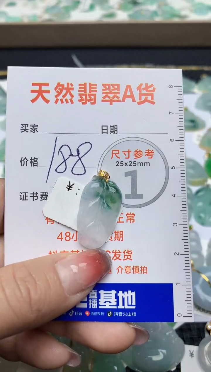 【闪购商品】翡翠颈饰未镶嵌26