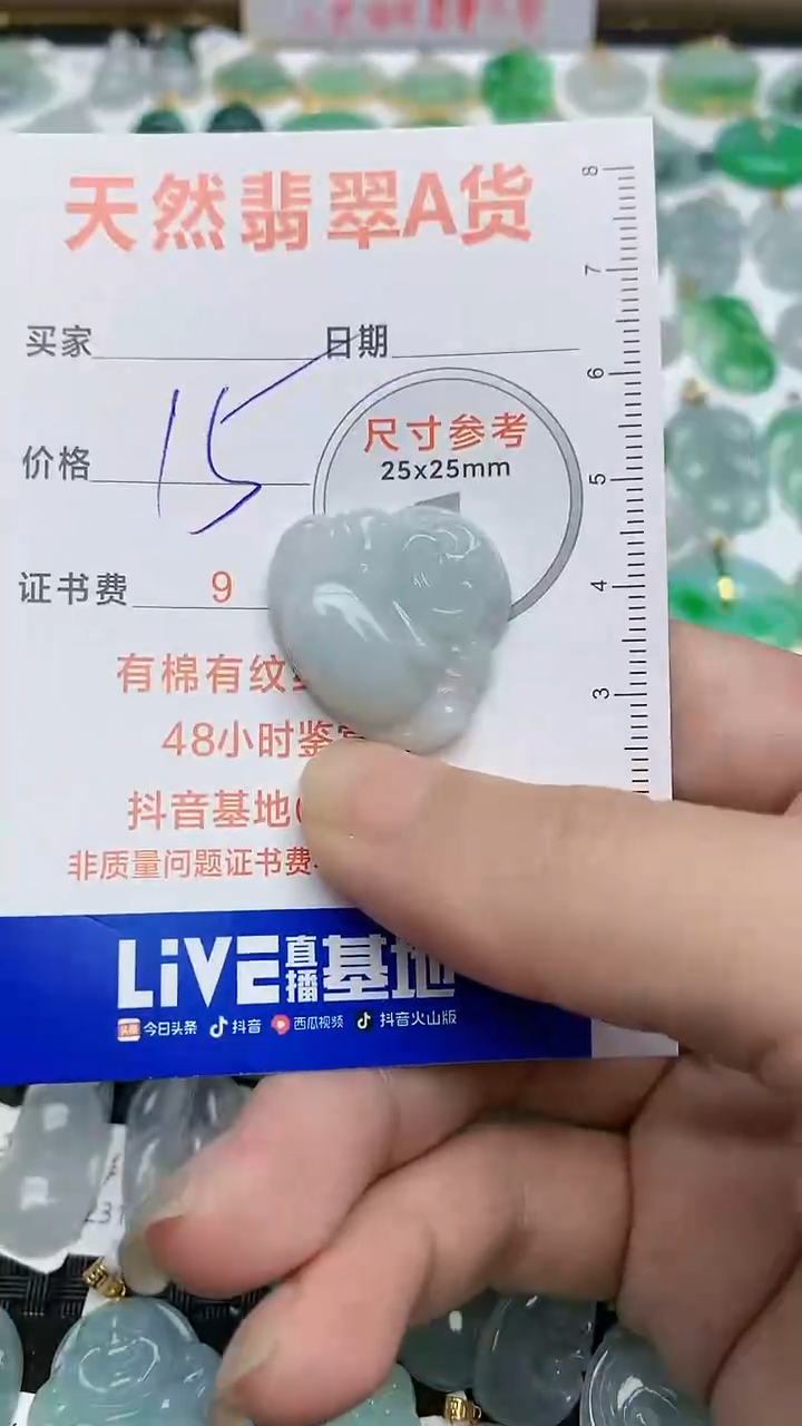【闪购商品】翡翠颈饰未镶嵌4
