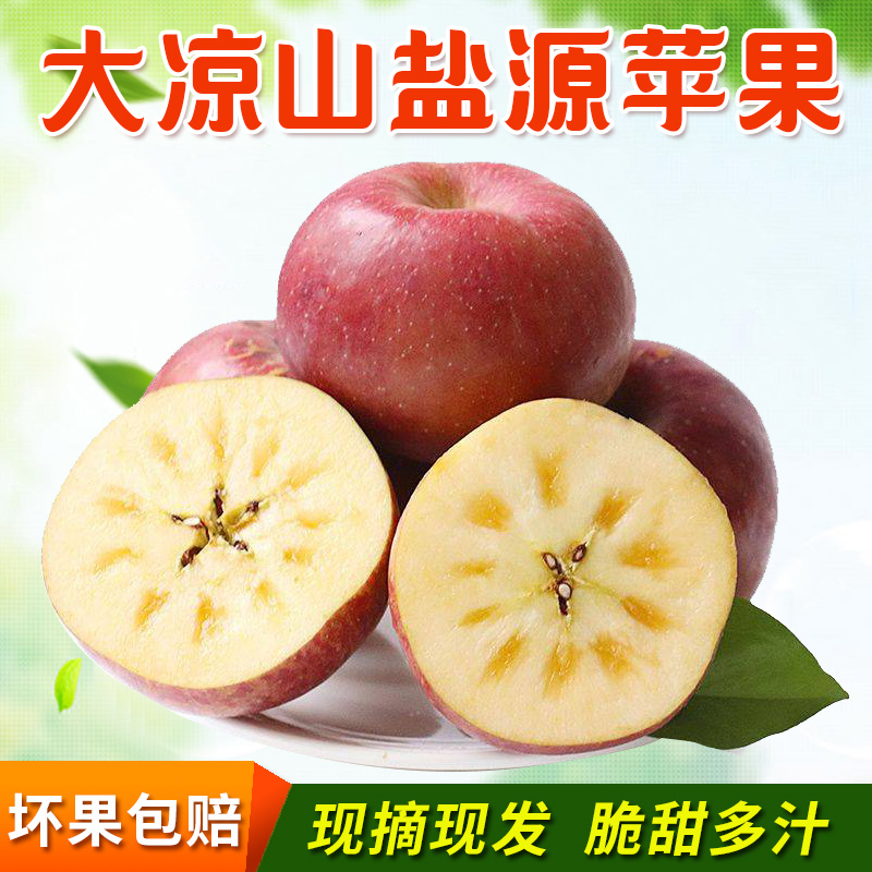 四川大凉山盐源苹果