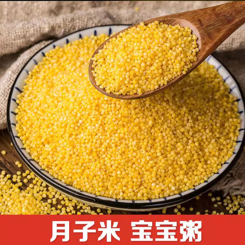 黄小米新米农家自产小米陕北养胃小黄米杂粮粥