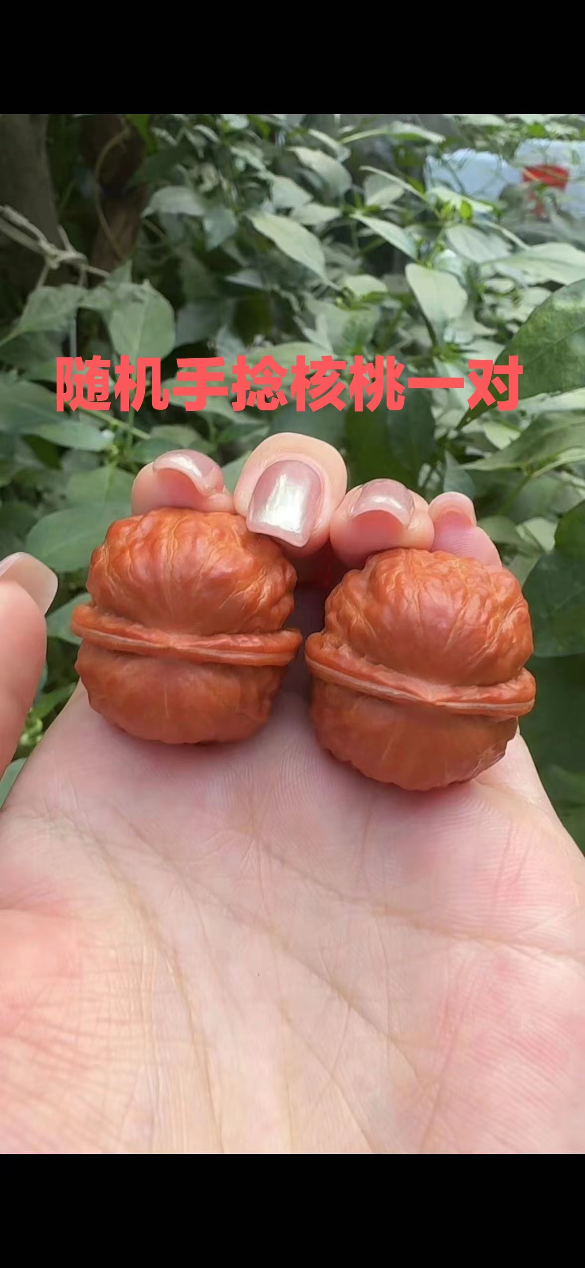 野生精品手捻核桃