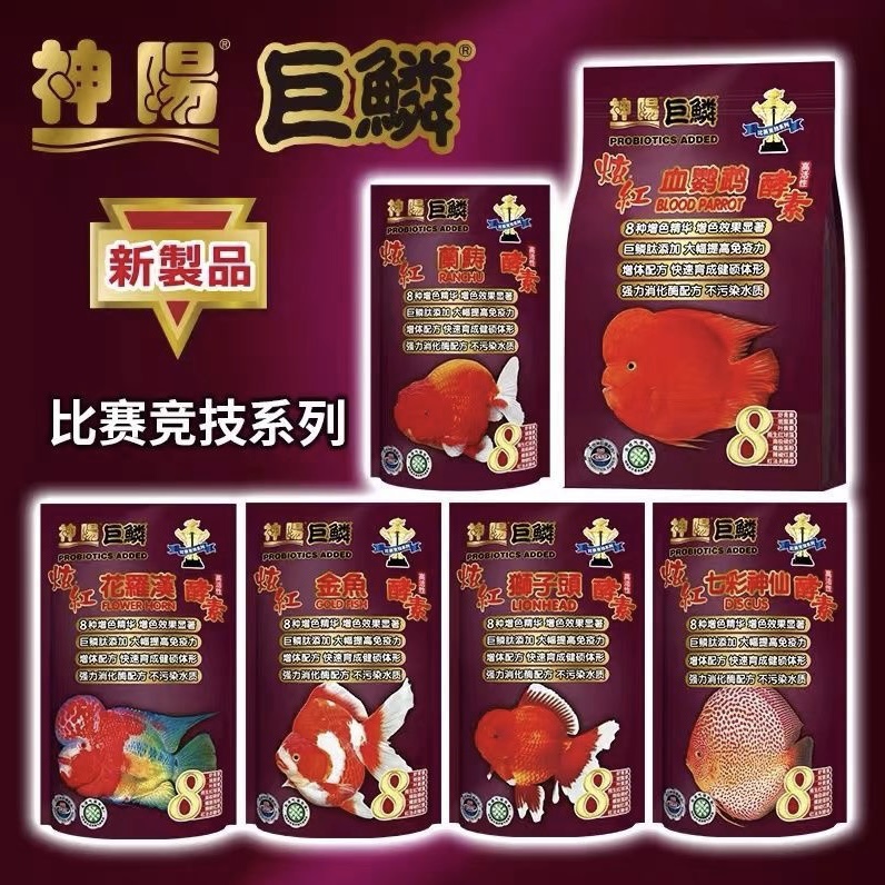 神阳巨鳞热带鱼粮血鹦鹉鱼食兰寿金鱼狮子头花罗汉七彩神仙鱼饲料