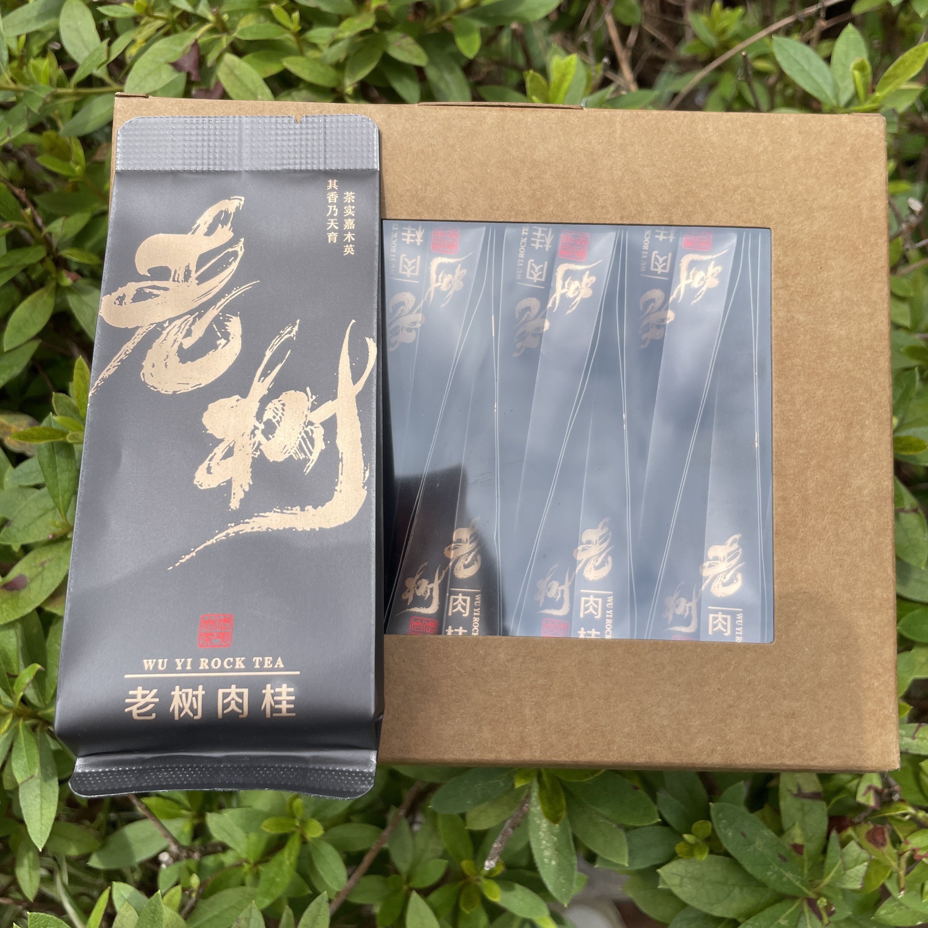 高山老树肉桂武夷山茶叶产区果香桂皮香辛辣霸气煞口凶老枞岩茶
