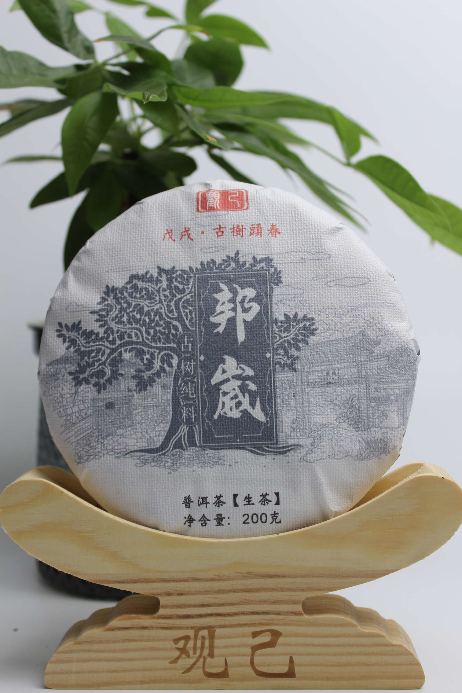 2018年邦崴 古树 纯料 头春头采 200g饼 