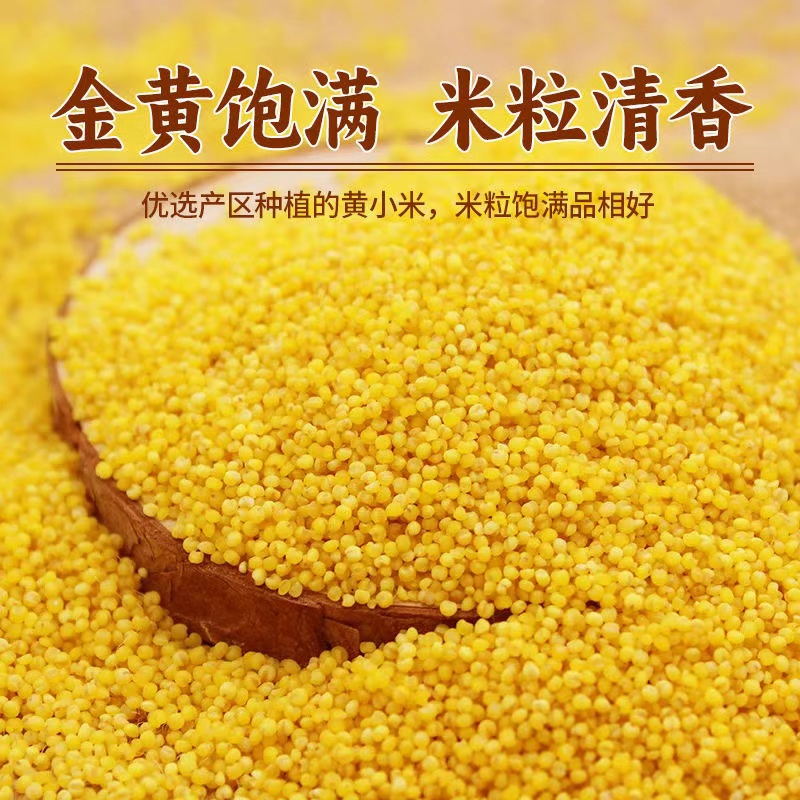  山西小米农家种植小米正宗山西黄小米 5斤装 自家农场