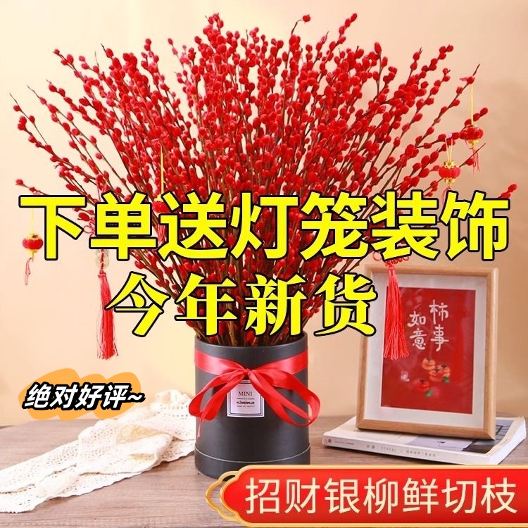 银柳干花真花鲜枝年宵花卉红色银柳干花客厅可摆放花喜庆银柳批发