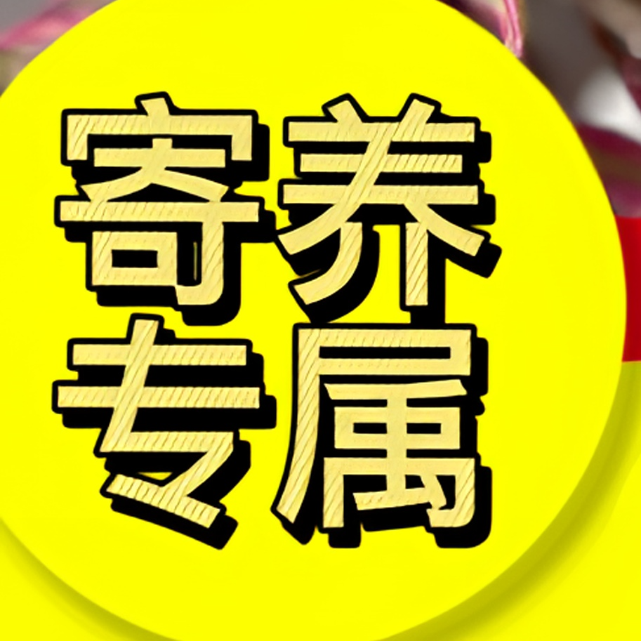 寄养专属 云南法师多肉寄养 方便度夏植物简单净化空气春季秋季
