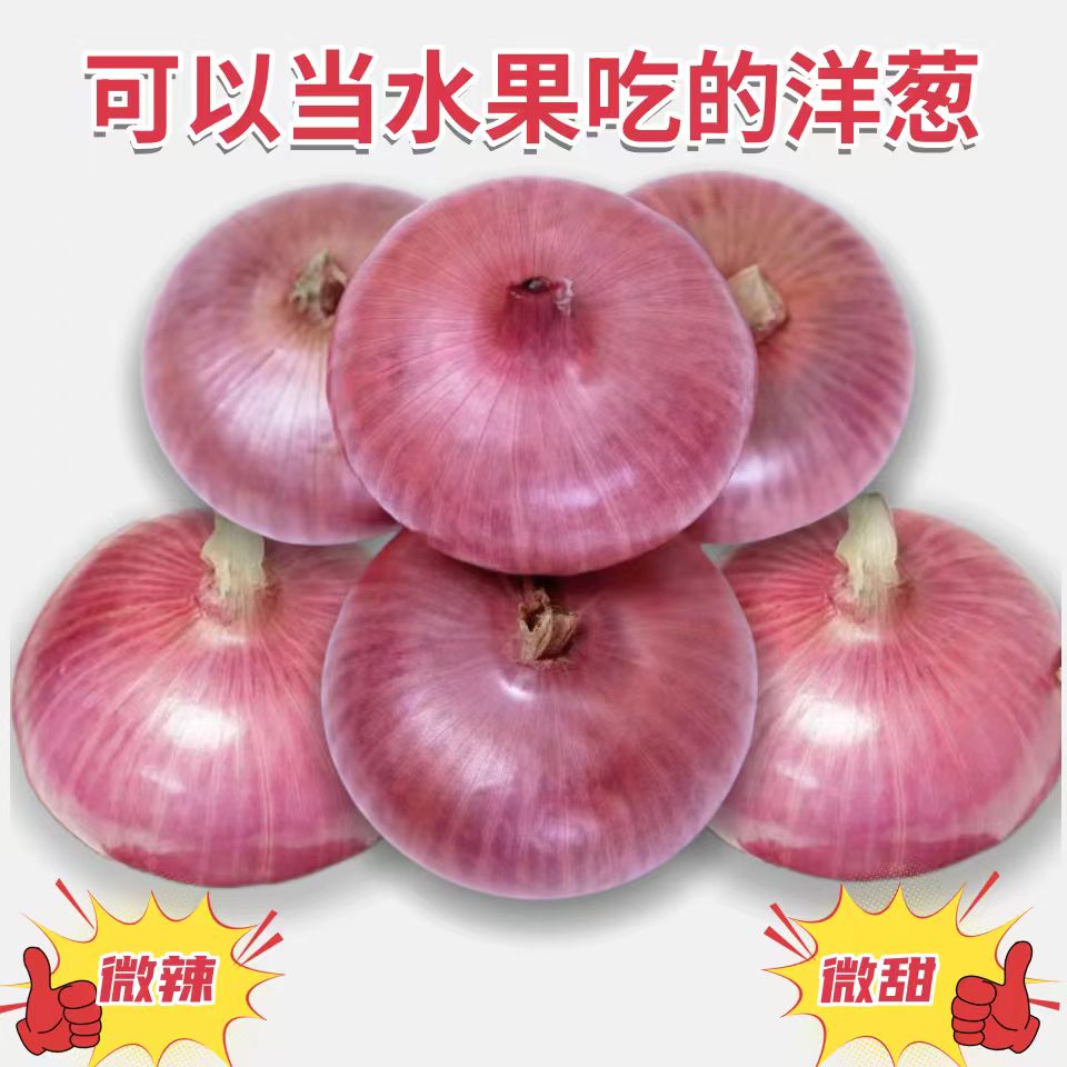 甄选山东扁洋葱5斤/正宗水果洋葱天然晾干皮香辣脆爽多汁产地直供
