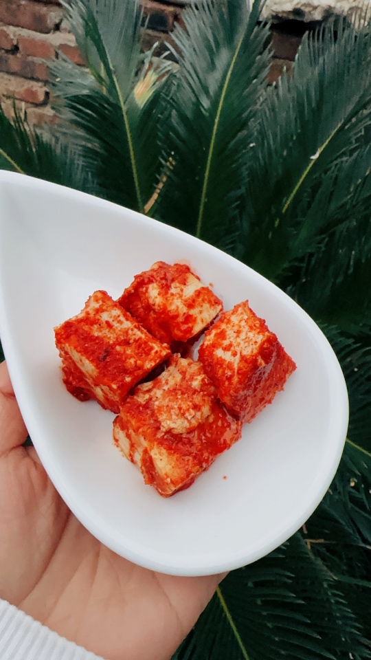 江西手工豆腐 腌制食用 肉菜腐乳 农家做法微辣密封香辣  酶豆子 