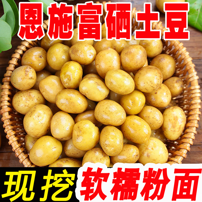 湖北恩施高山黄心土豆优选新鲜美味好吃3/5/9斤马铃薯洋芋细腻