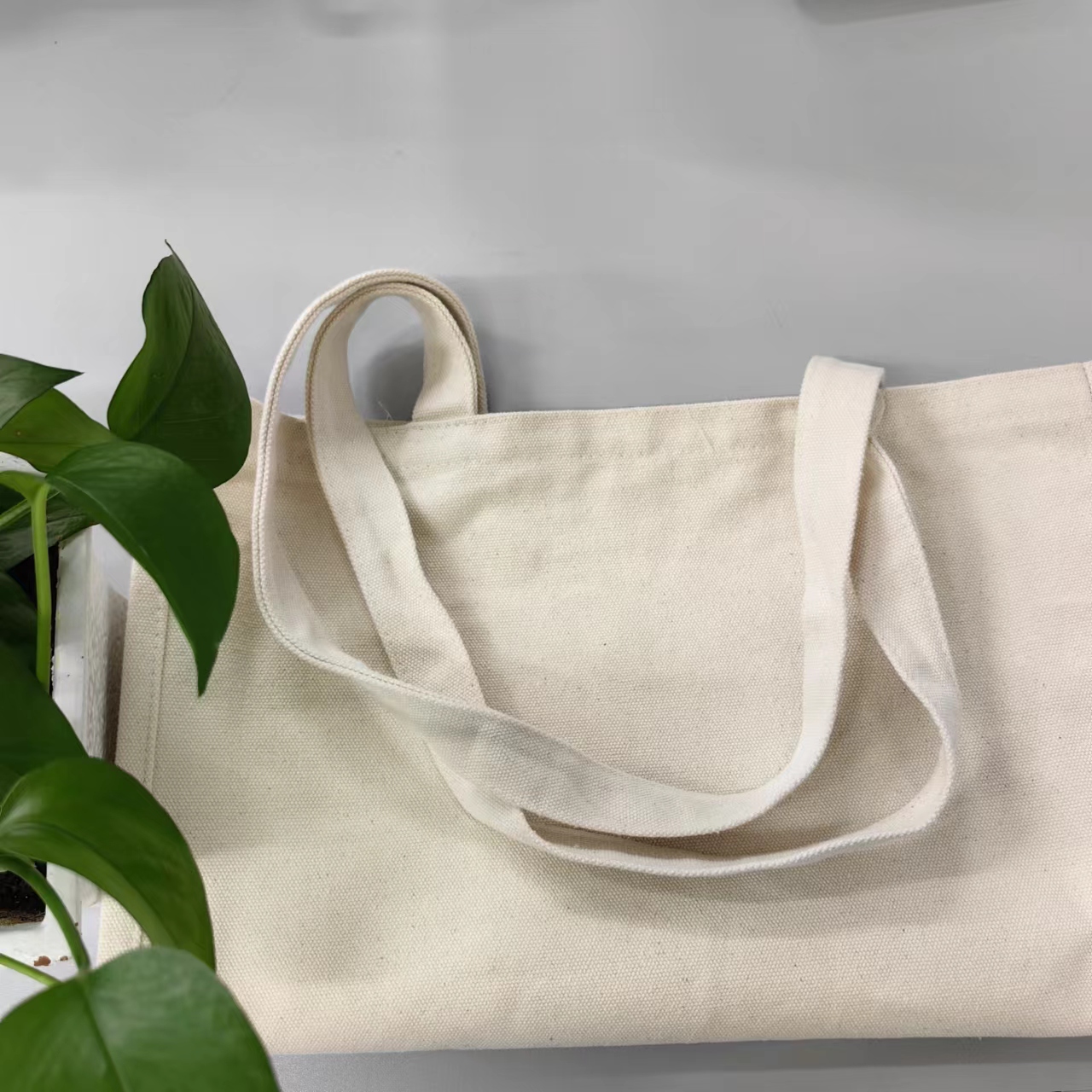 小罗啊~帆布托特包包