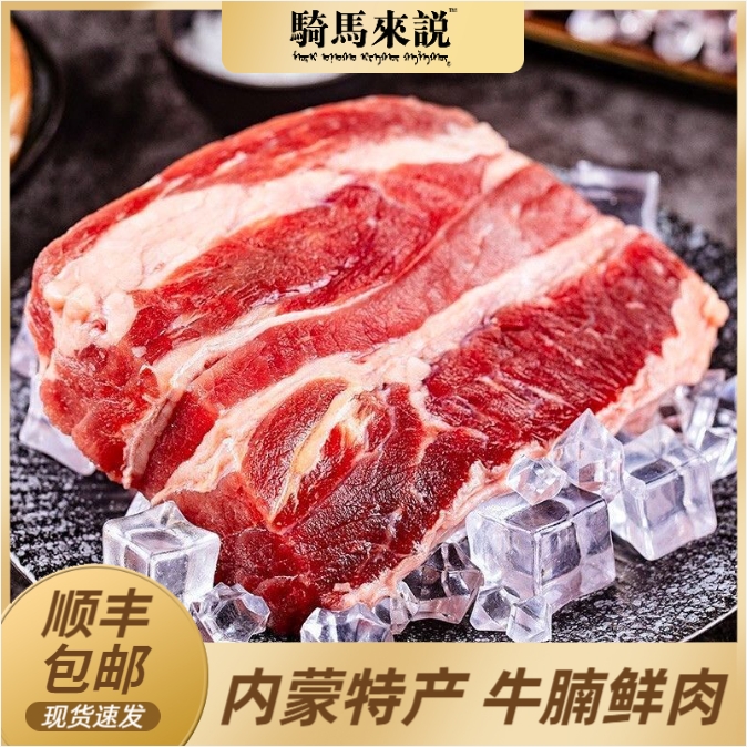 生牛肉牛腩肉5斤10装 内蒙古特产 品质 内蒙产地 包邮到家