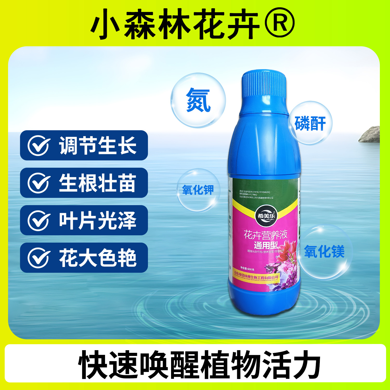 植物营养液花卉营养液浓缩型水培养花通用型改善黄叶增强植物体质