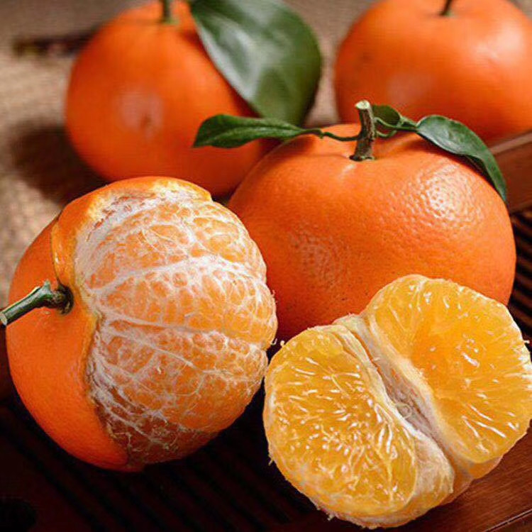 【果园直发2】高山沃柑新鲜水果当季现摘整箱包邮坏果包赔10斤