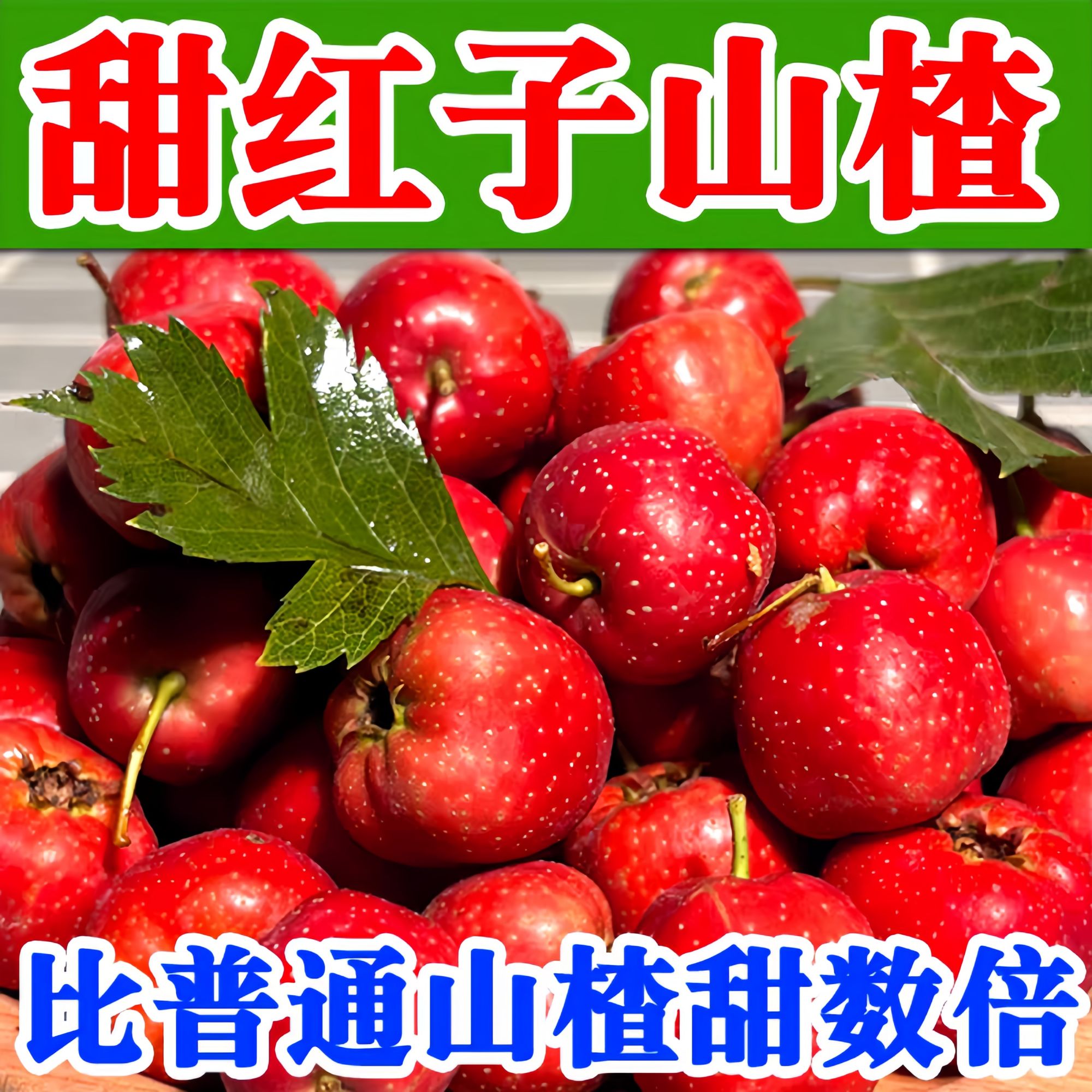 当季新鲜采摘绿色无公害甜口新品种甜红子水果山楂