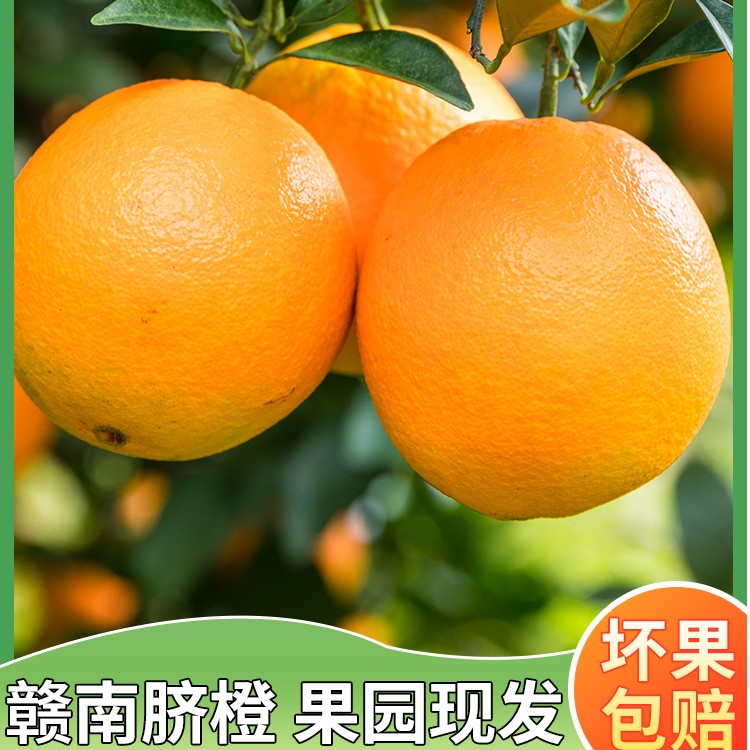 特价正宗赣南脐橙5斤装当季水果新鲜赣州脐橙新鲜采摘产地直发