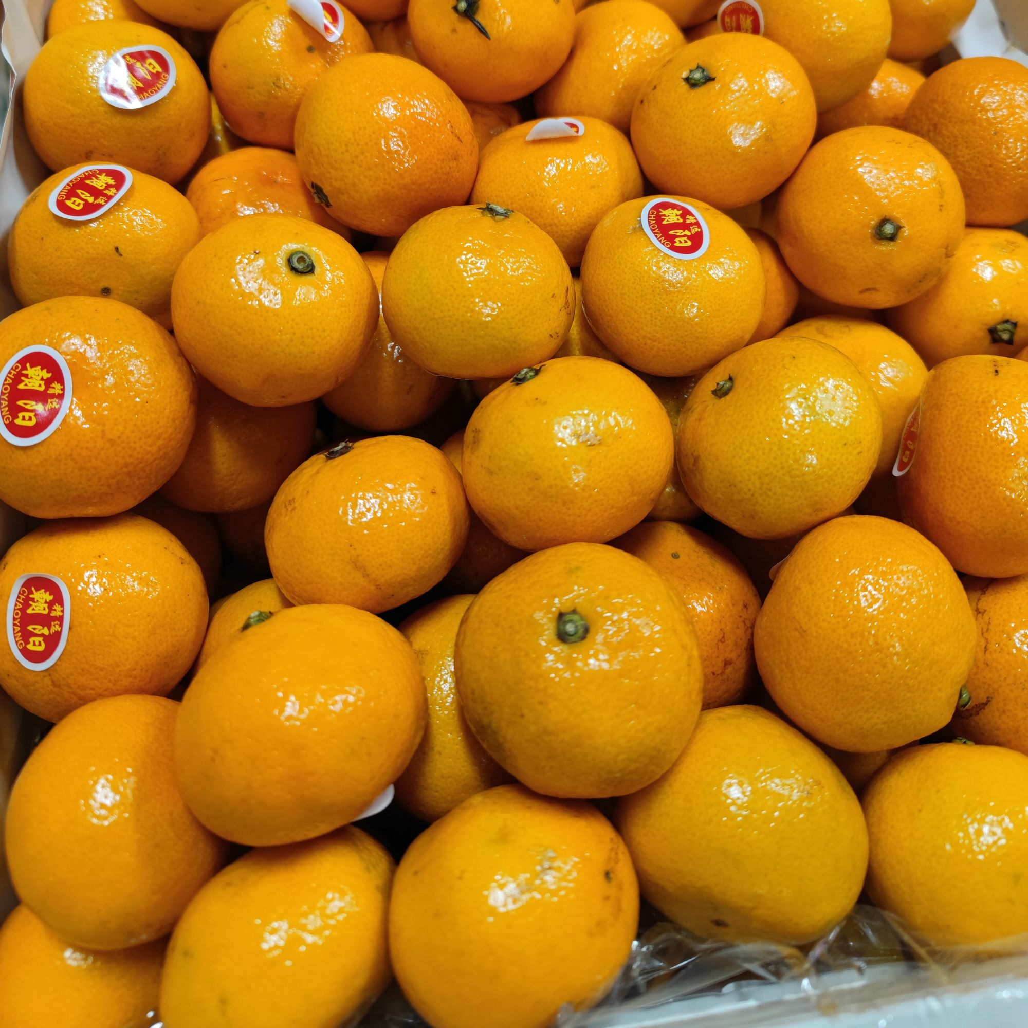 【散装】云南高原蜜桔 5斤 仅大同市平城区云冈区可拍