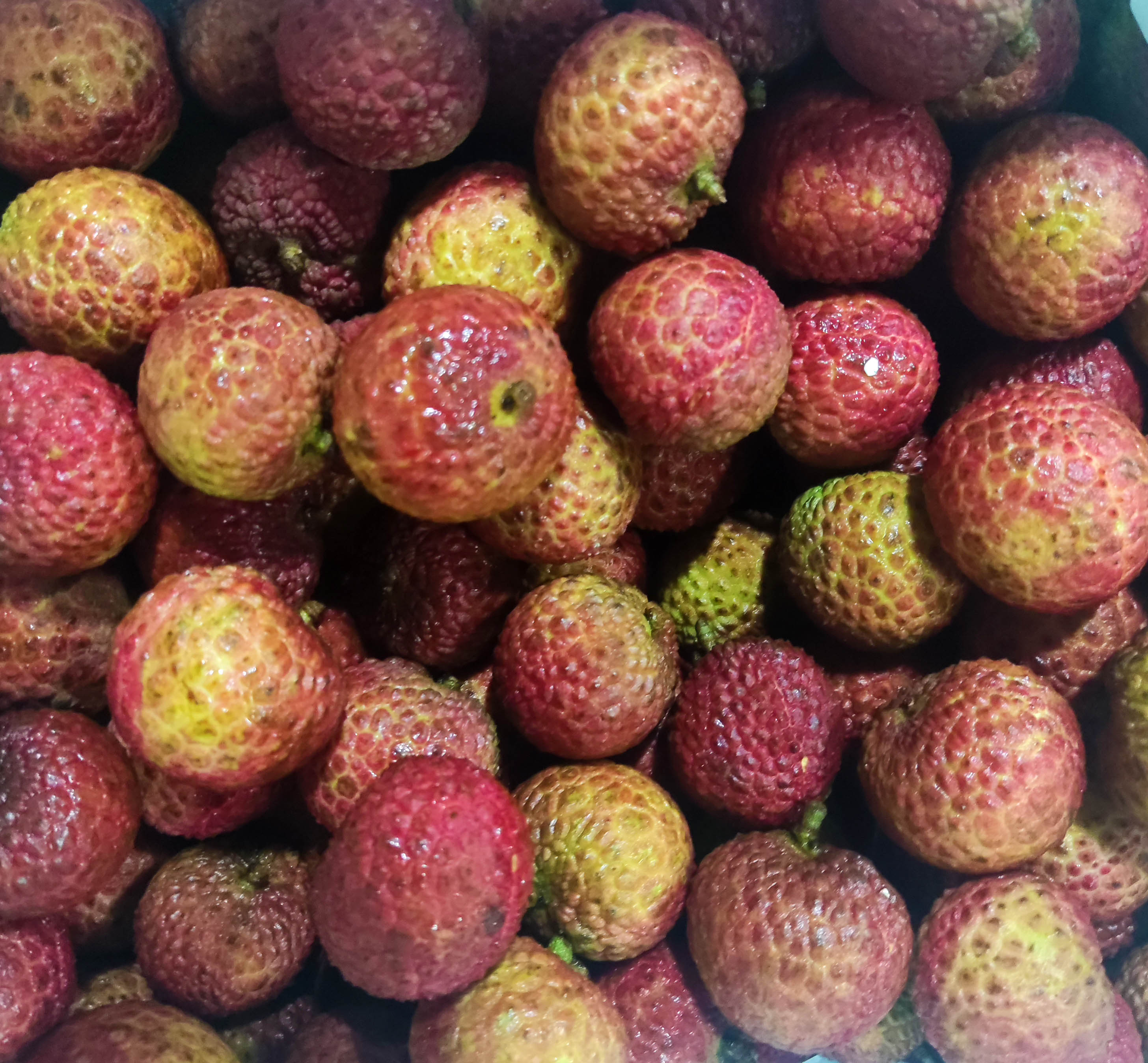 【整筐】海南妃子笑荔枝-整筐10斤-大同市平城区 云冈区可拍