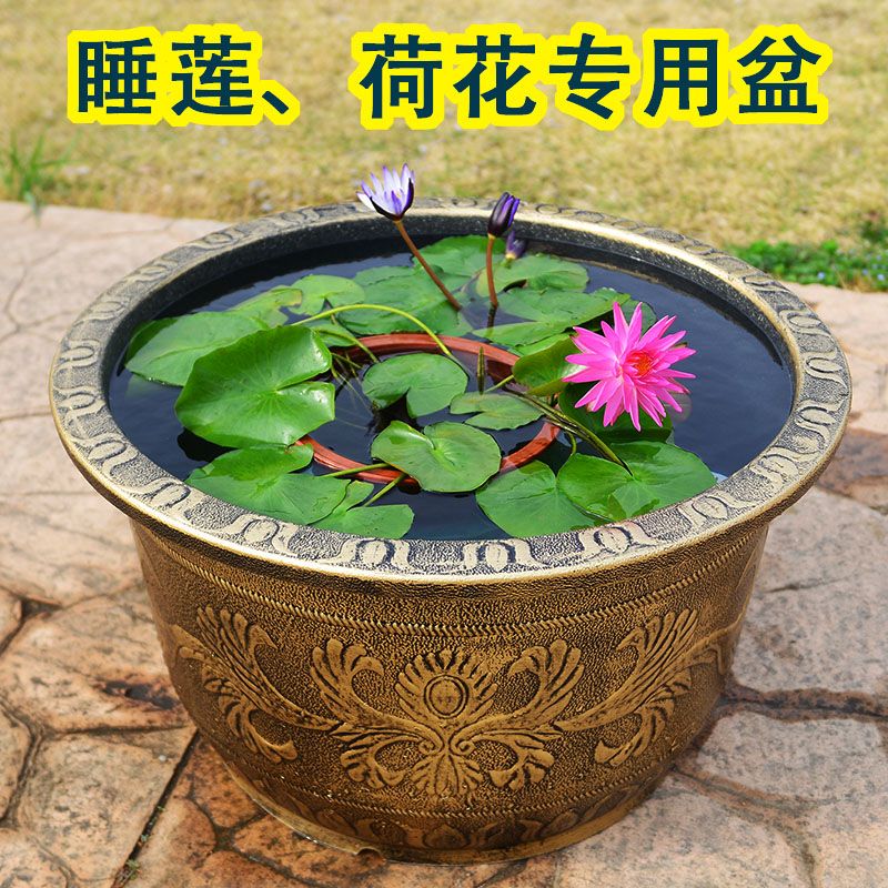 养睡莲荷花特大号塑料加厚专用花盆缸莲藕铜钱草水培碗莲无孔鱼缸