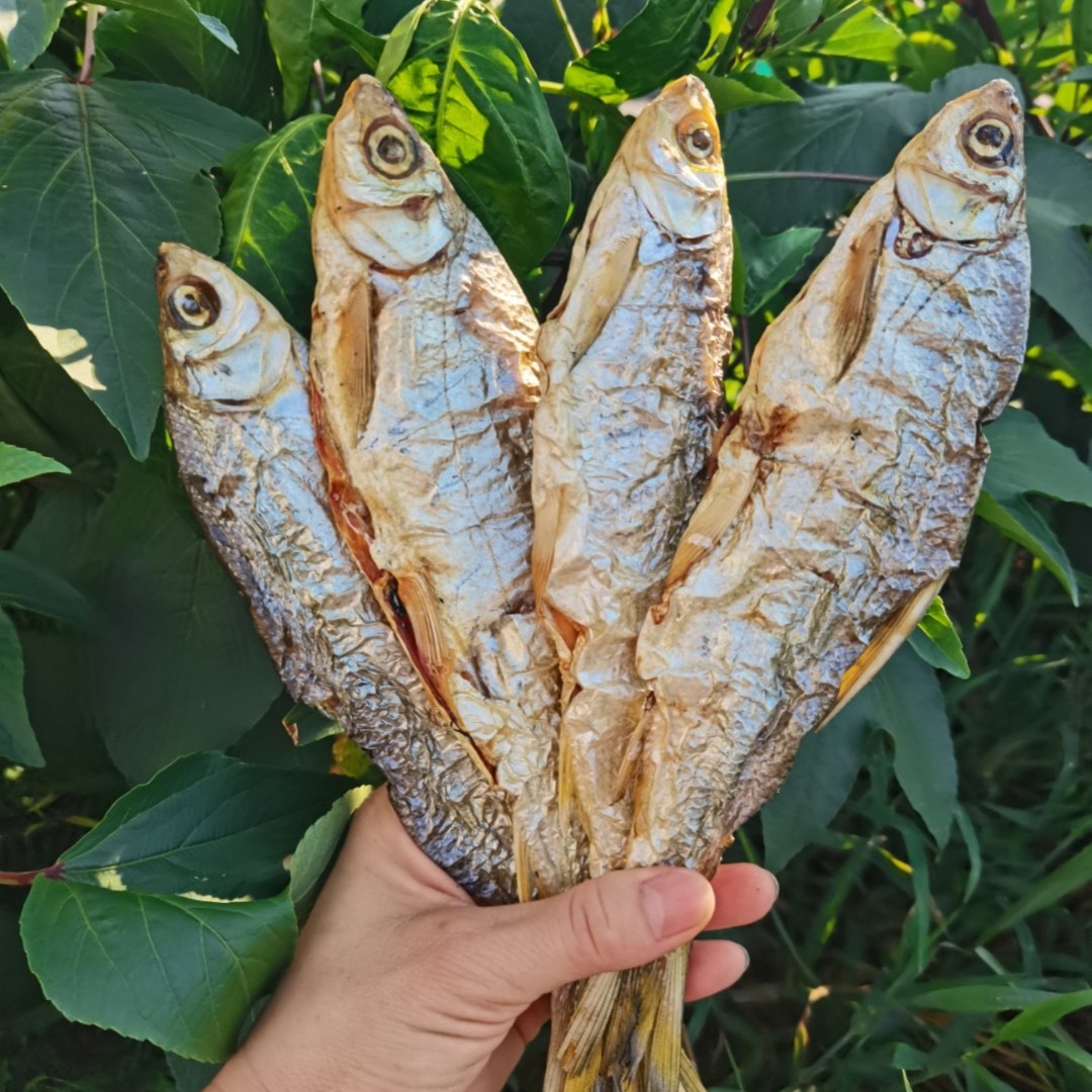 千岛湖特产农家炭火烘烤自制鱼干500克黄尾鱼干货