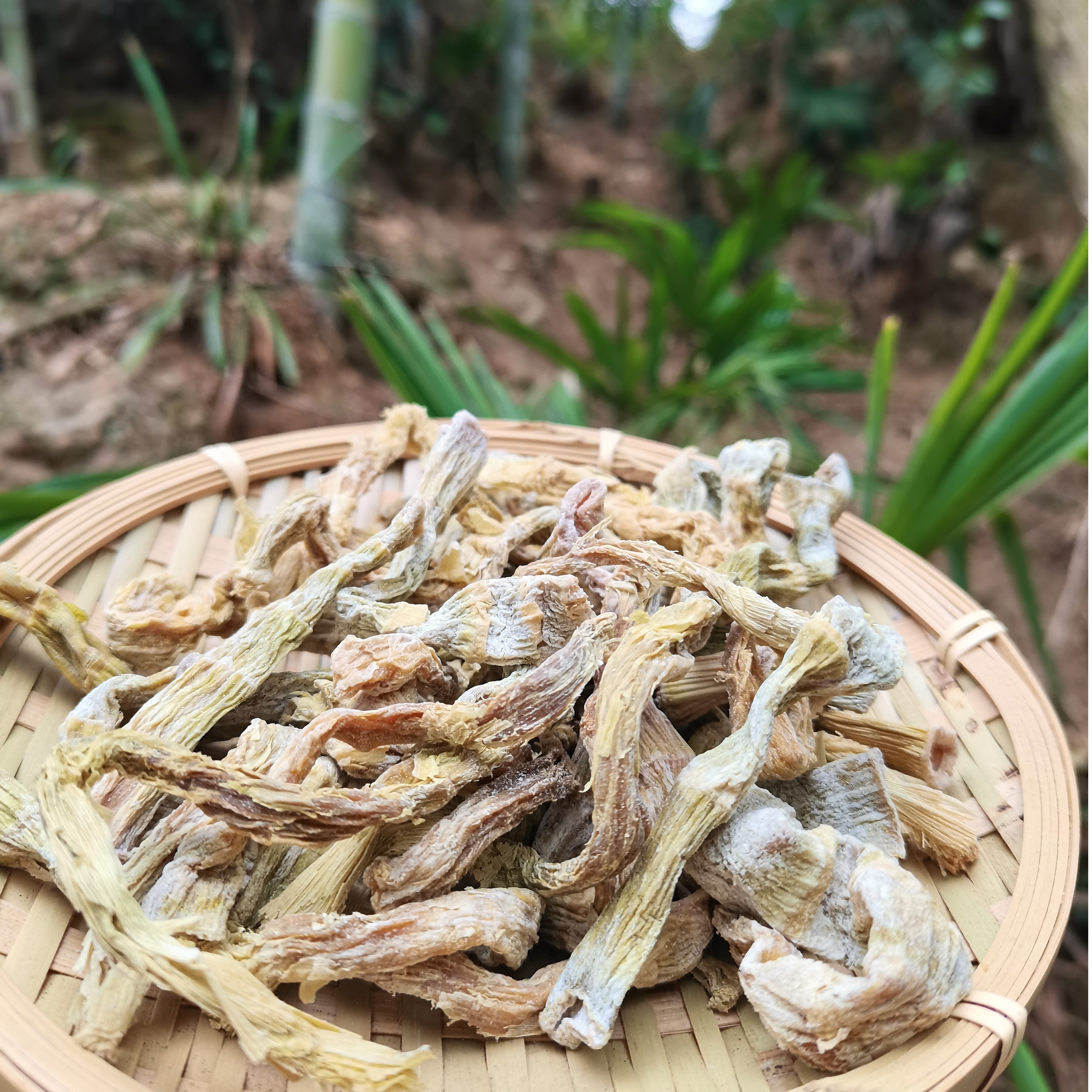 千岛湖农家炭火烘烤高山野小笋干干货干笋500G笋子竹笋500克