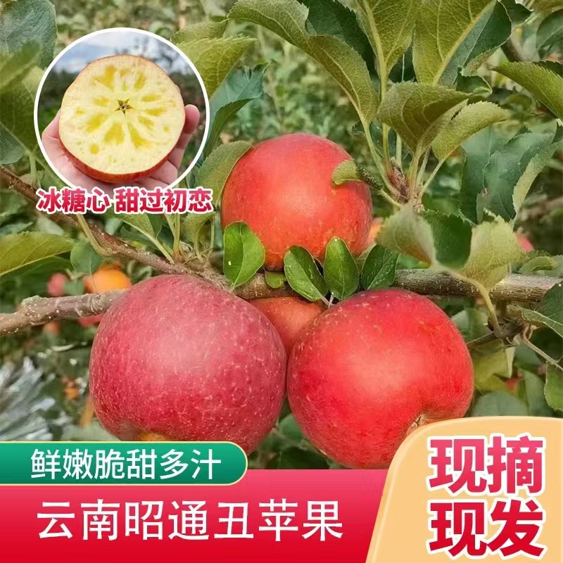 正宗云南丑苹果冰糖心脆甜多汁现摘现发