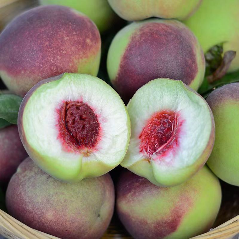 正宗青州蜜桃毛桃小时候回忆脆脆甜甜放软蜜甜