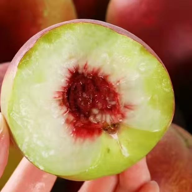 山东潍坊正宗蜜桃青州蜜桃毛桃孕妇适宜