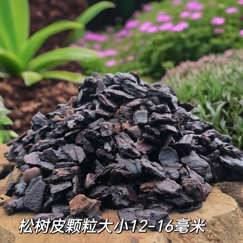 松树皮  兰花专用植材 