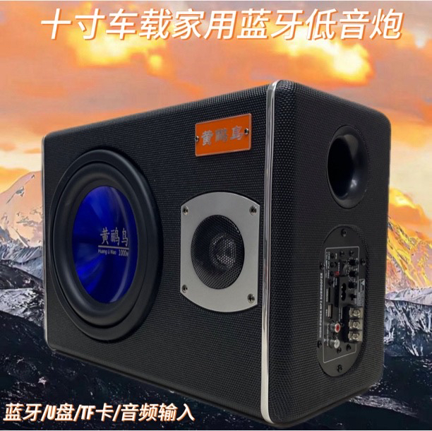 10寸车载低音炮音响大功率超重低音12v.24v220v 家用音箱