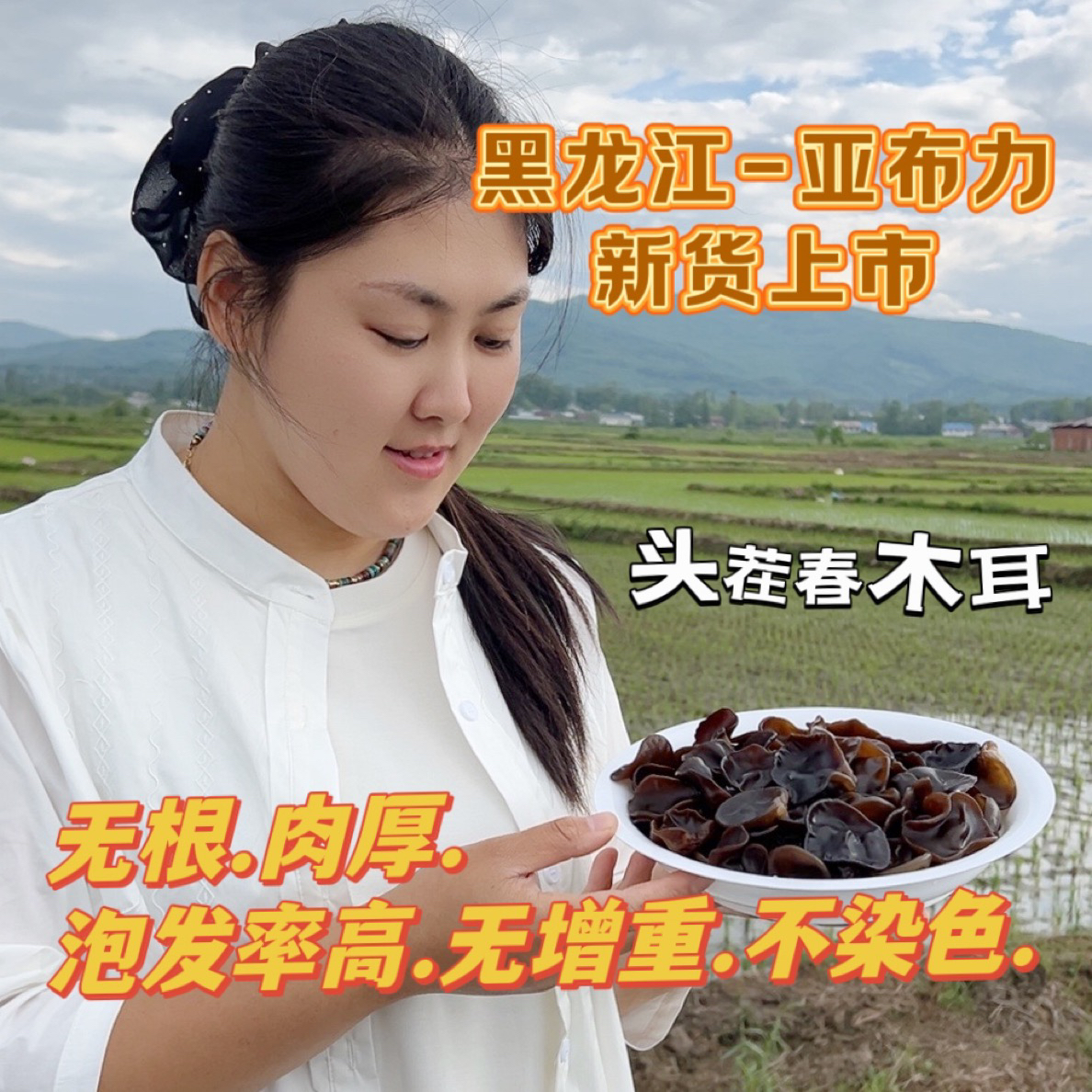 小李子家福利价格：健康头茬春耳，自然晾晒无增重，净含量250/500