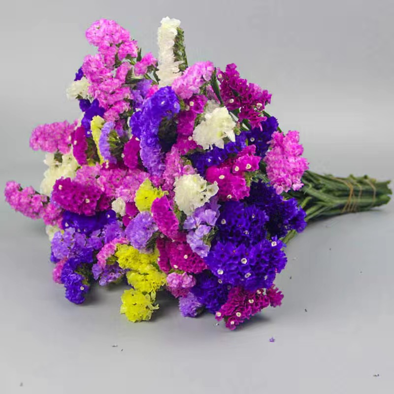 琦鸿莱云南基地直发天然鲜花勿忘我摆设客厅摆设真花花束装饰插花