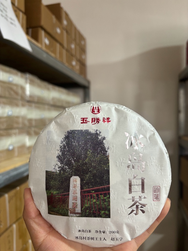 冰岛老寨26号 2023年白茶200克饼 （双12福利三饼）