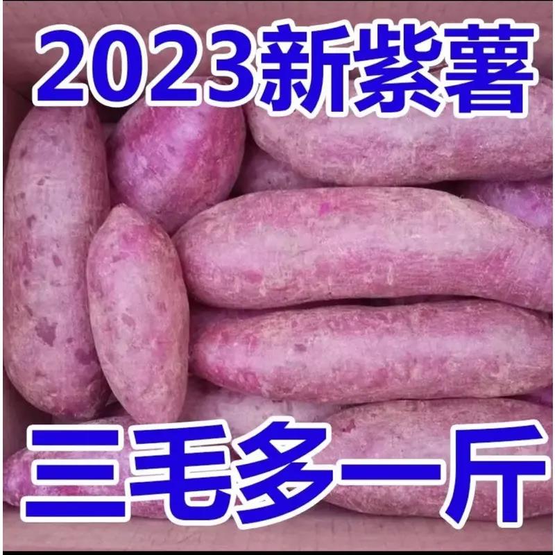 【半价抢】新鲜现挖紫薯紫罗兰1-9斤甜紫心蜜薯红薯地瓜烟薯蔬菜甜