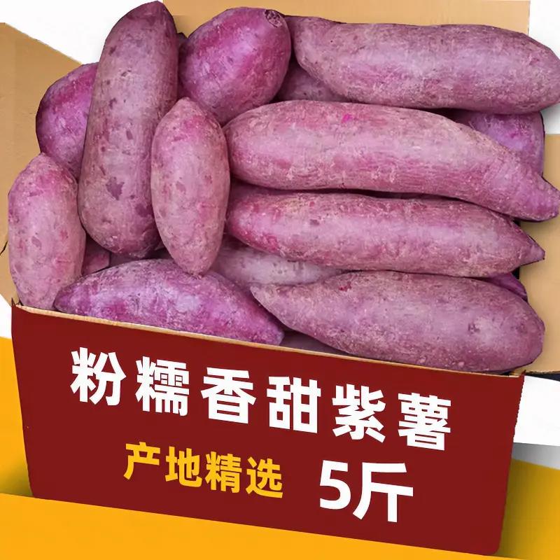【新店半价抢】新鲜紫薯紫罗兰现挖现发沙地紫薯地瓜特惠价1-9斤甜