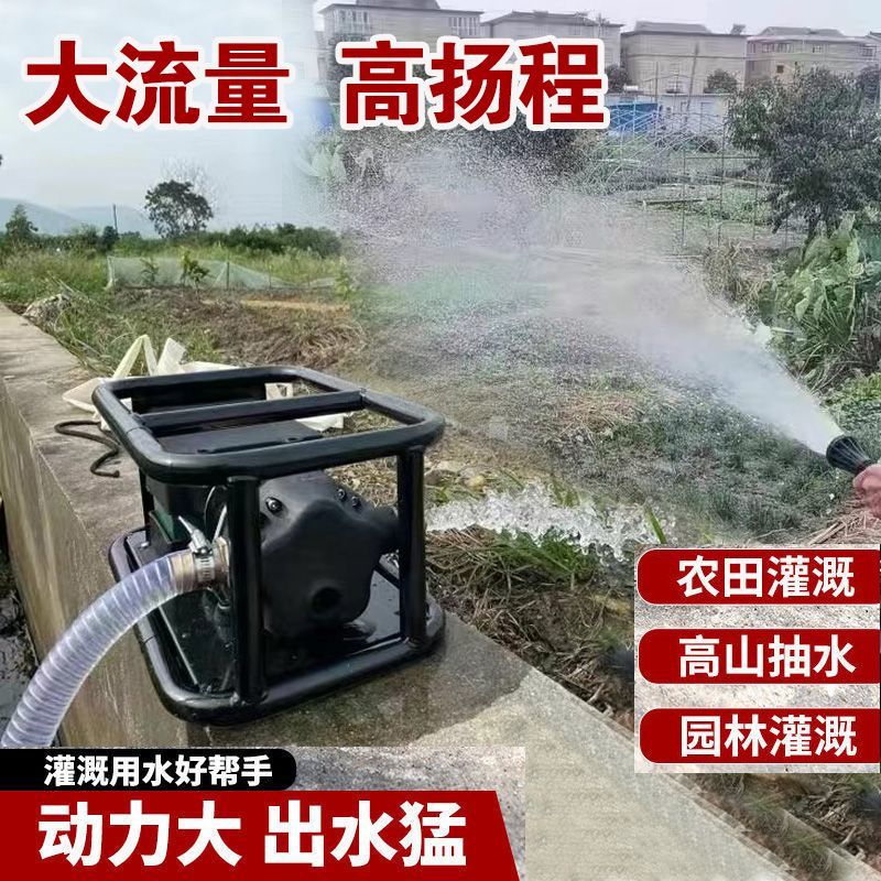 充电式大流量水泵浇菜农用灌溉神器家用自吸泵12v24v大功率抽水机
