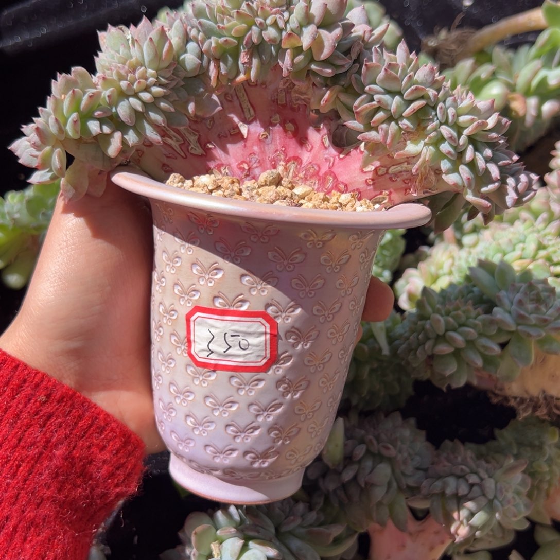 嘻****?  新年快乐。新年快乐 新年快乐