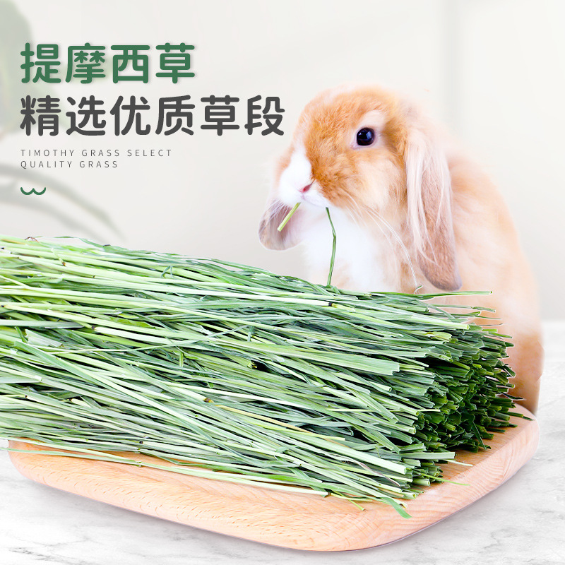 烘干提摩西草段兔子粮荷兰猪龙猫粮食用饲料嫩草干草牧草草料