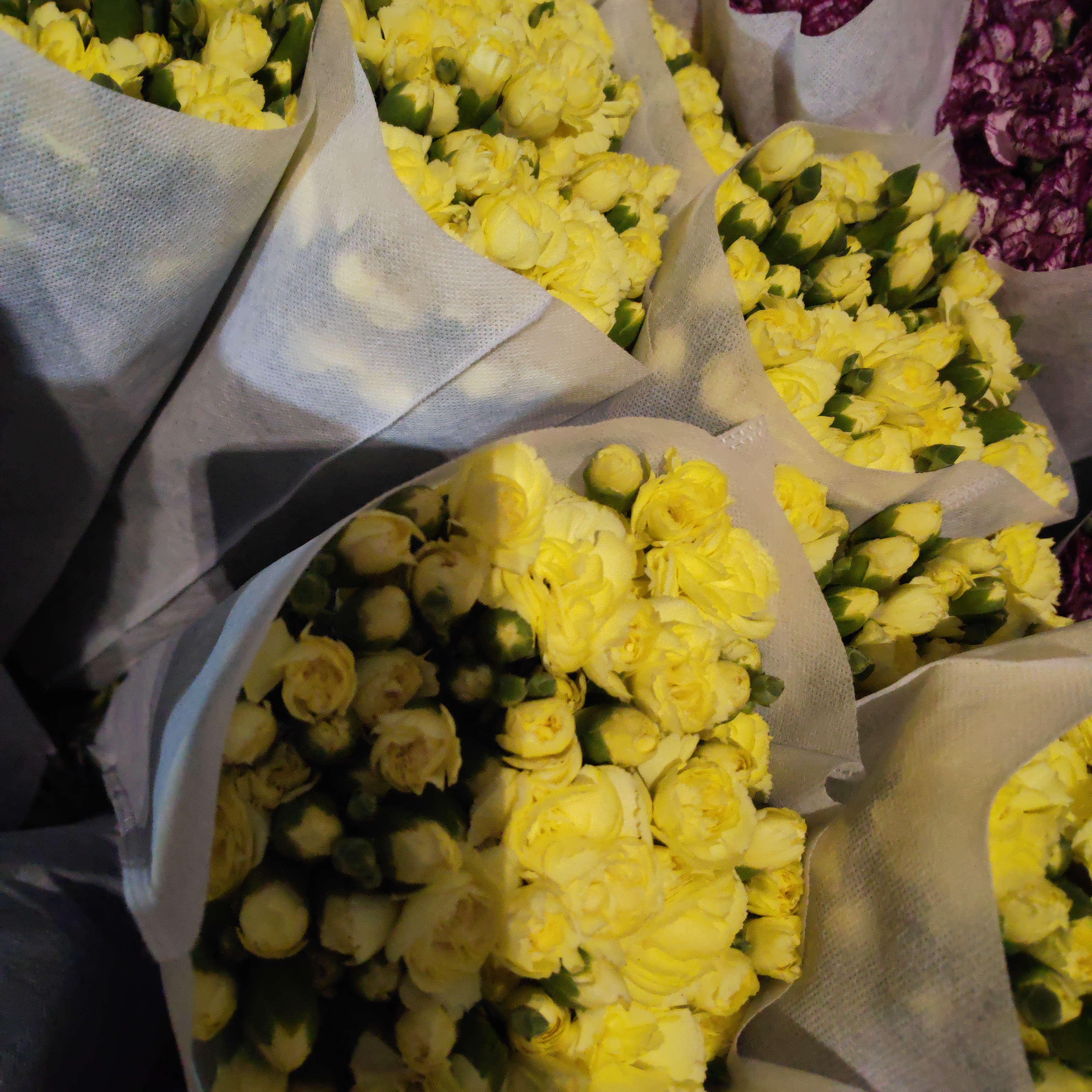 多头康乃馨黄色20支支持开箱验货物流人为不售后