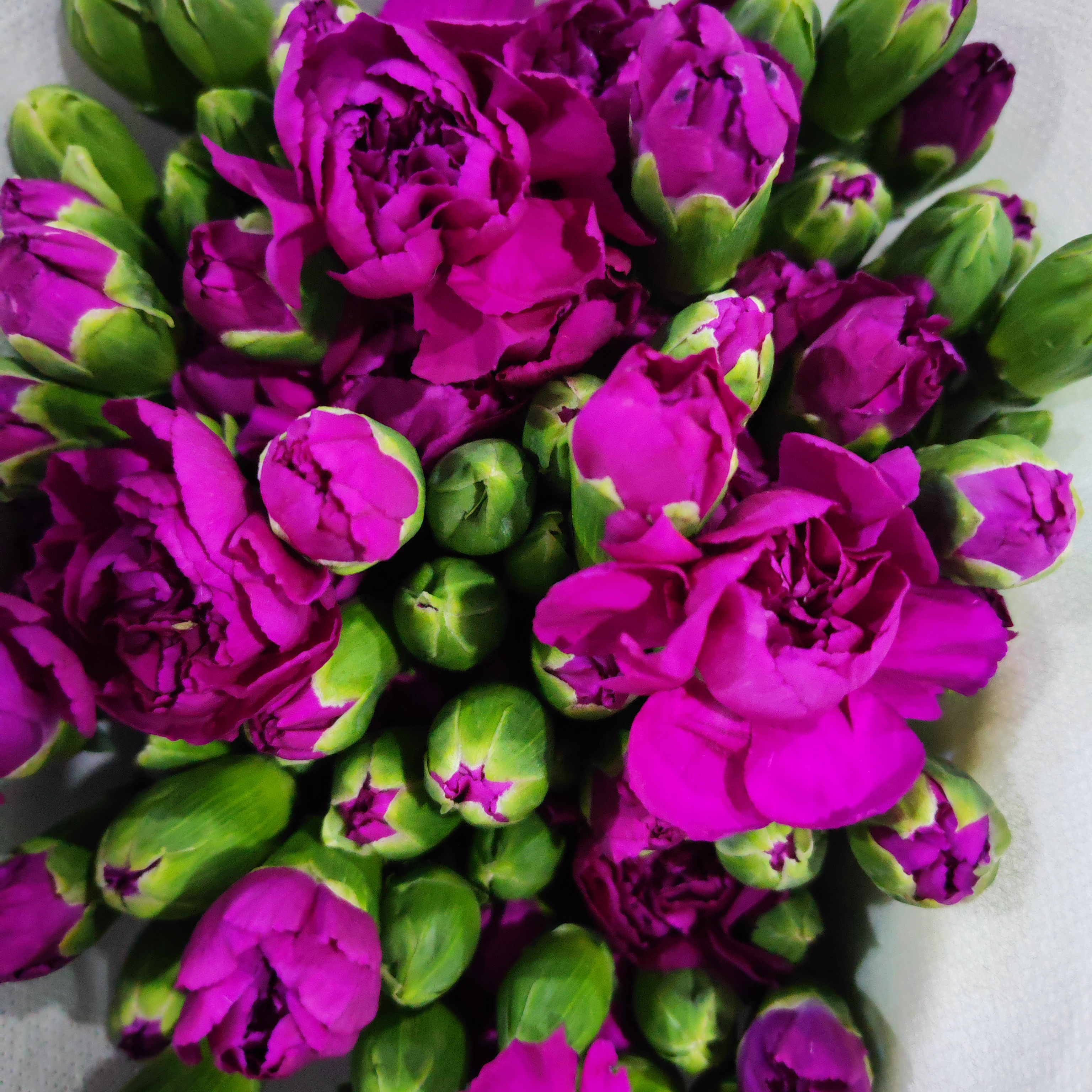 多头康乃紫水晶20支物流人为不售后