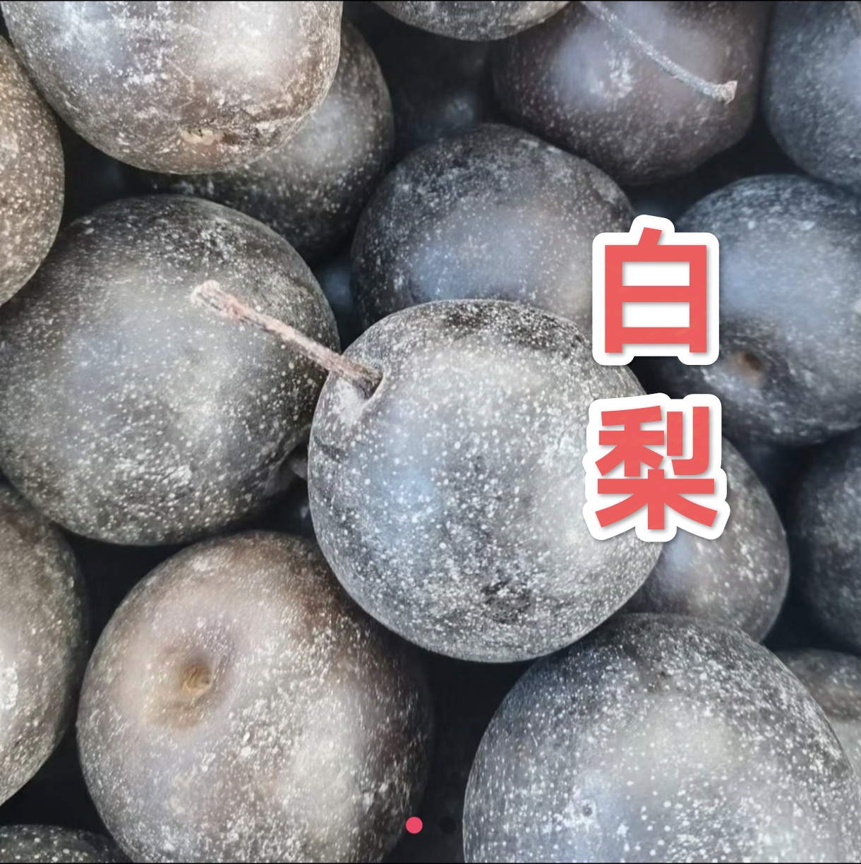 老品种甜秋白梨冻，甜梨，净重五斤，坏果包赔