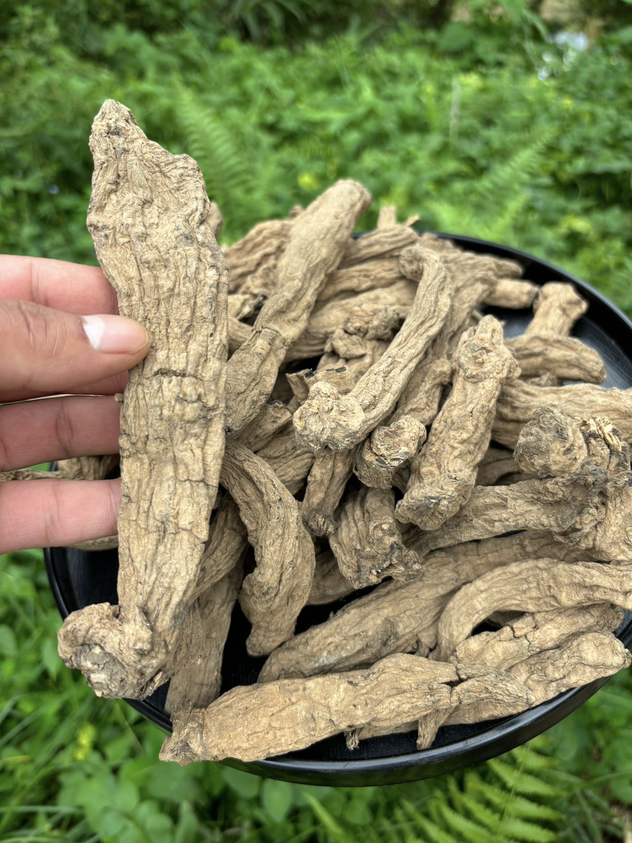 【阿鹏推荐】现收土特产-黑--金--渗-250克-500克-1000克食用农产品