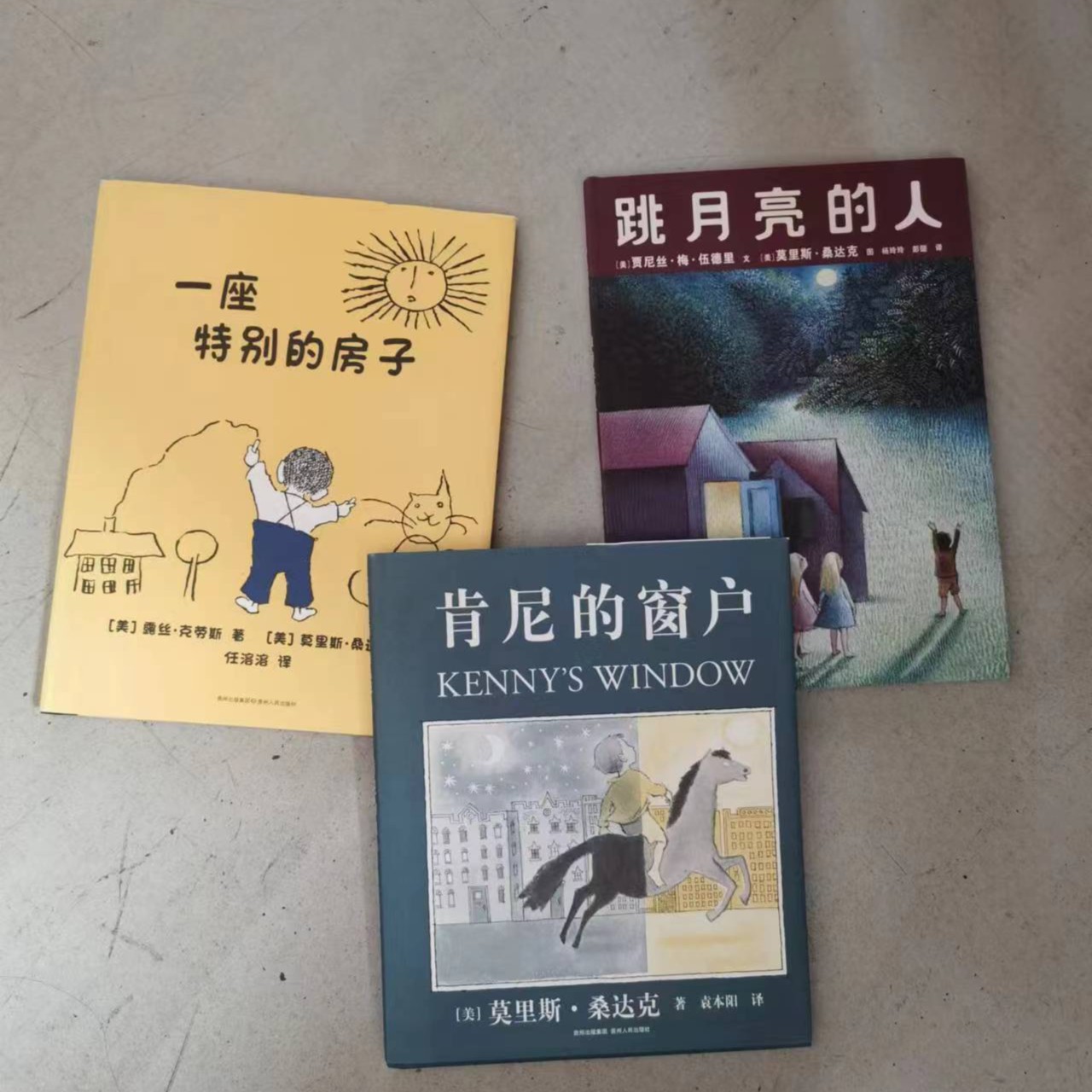 桑达克图画书3册 PGY